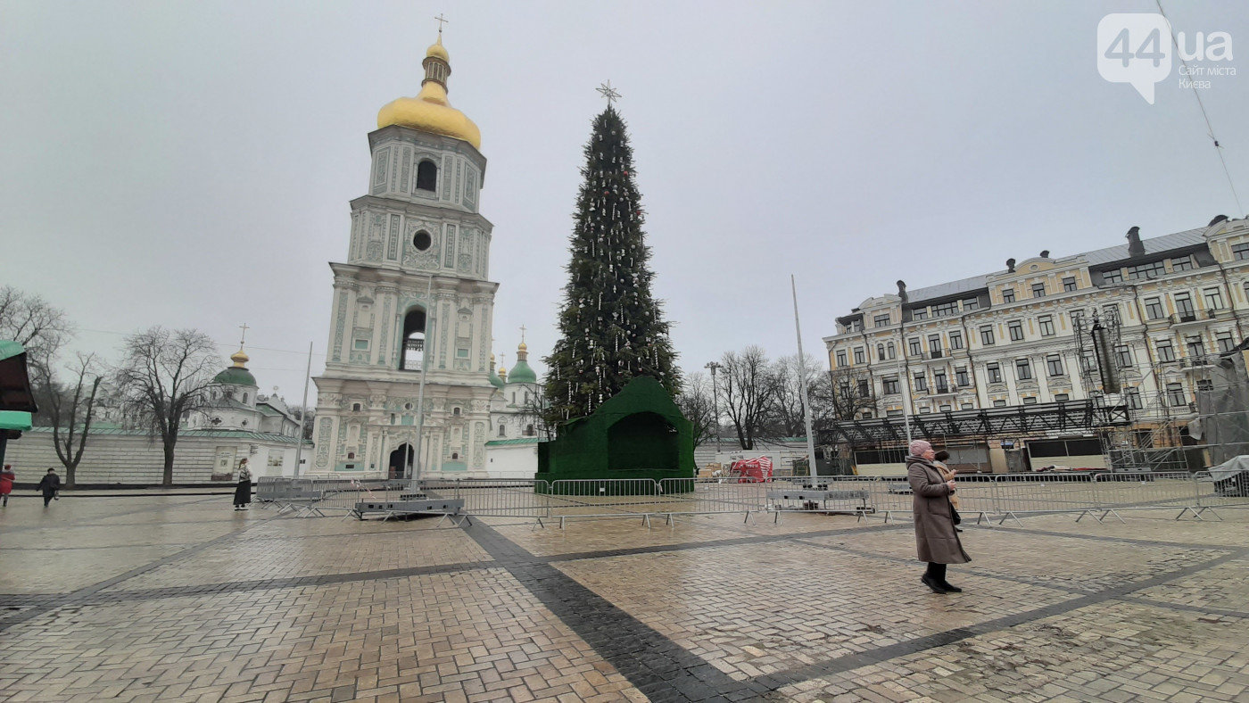 Ялинку незламності встановлять у центрі Києва