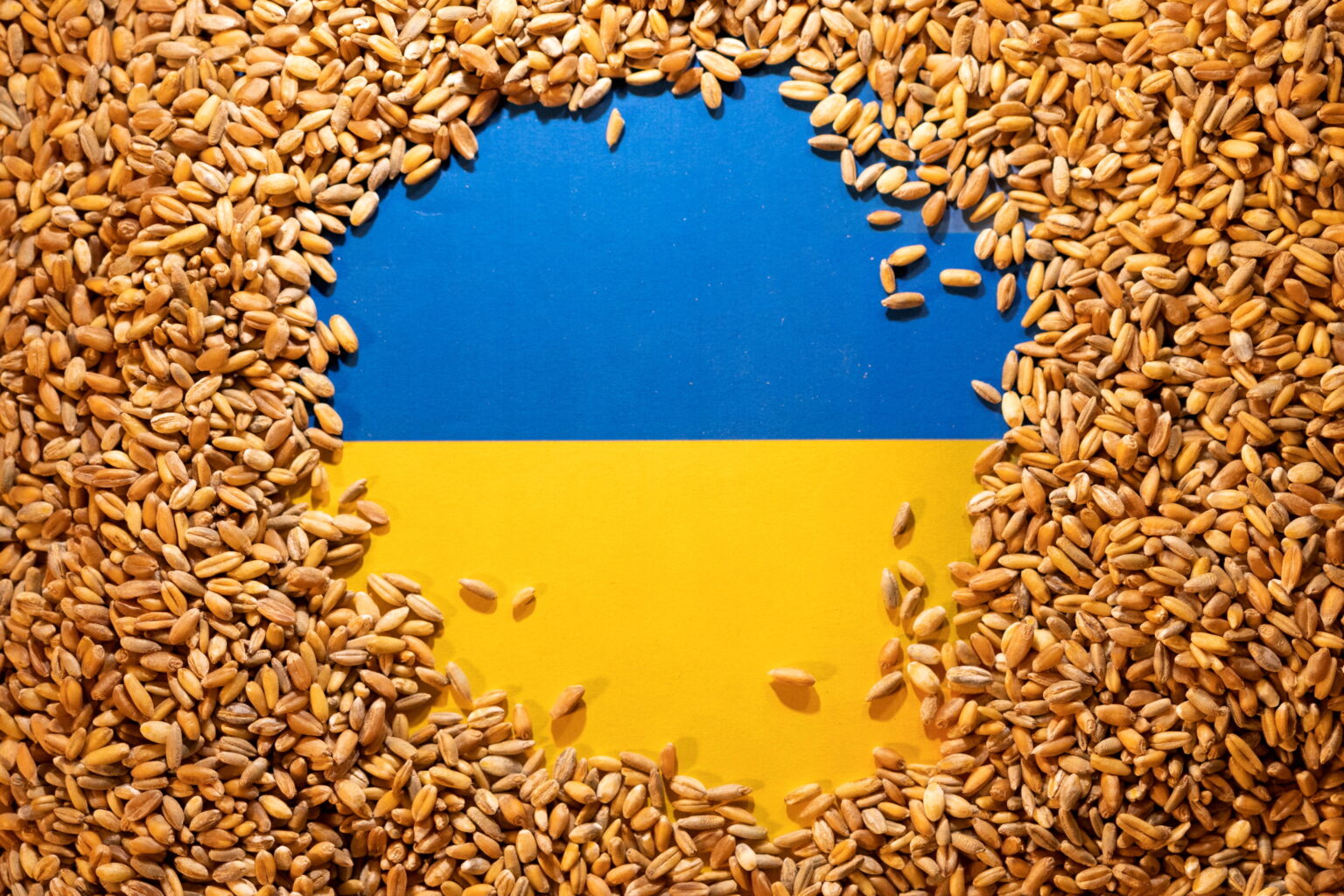 150 мільйонів доларів зібрано в результаті проведення першого Африкансько-Азіатського саміту Grain from Ukraine
