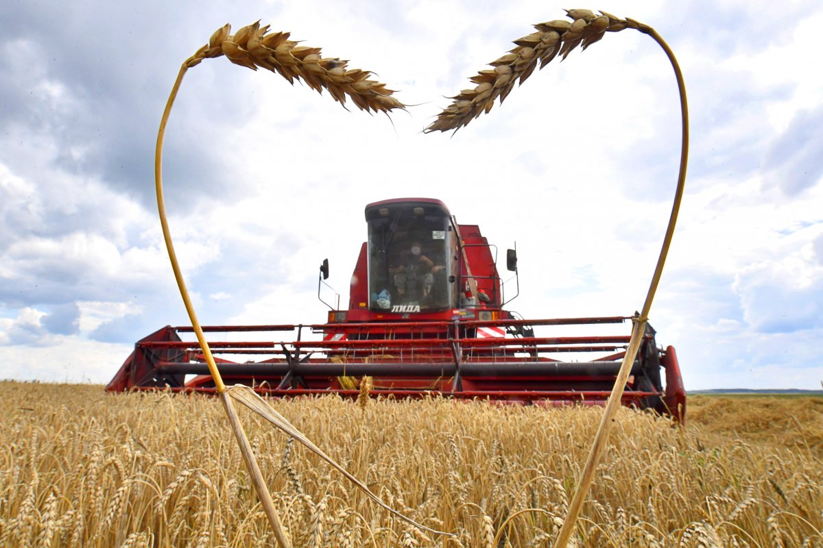 Польща заборонила ввезення сільгосппродукції з України
