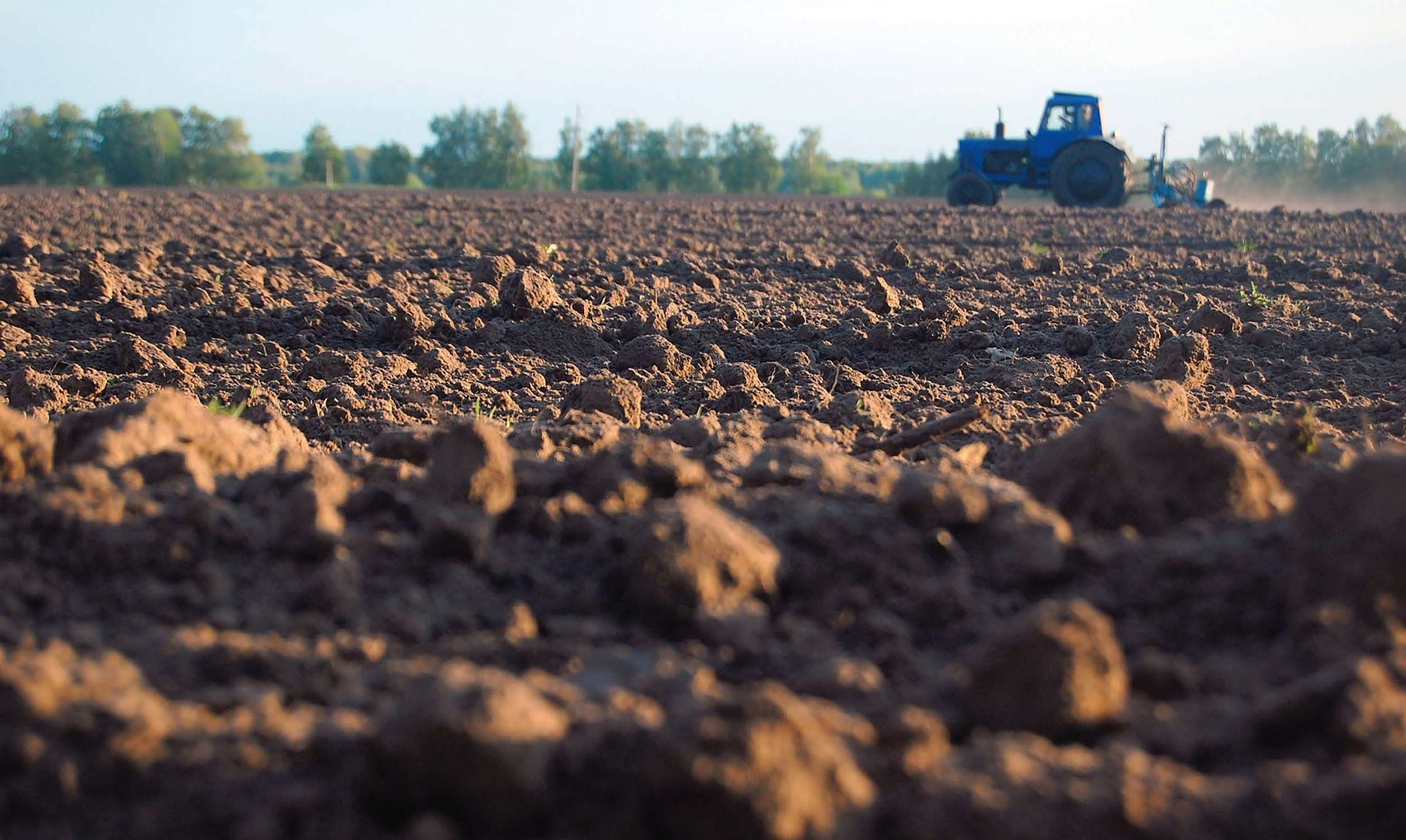 В Україні заміновано 470 тисяч гектарів земель