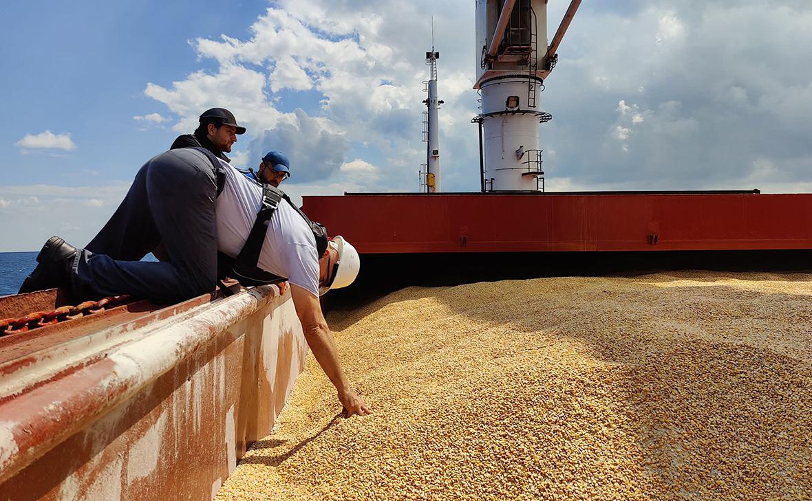 Країни ЄС бойкотують імпорт українського зерна