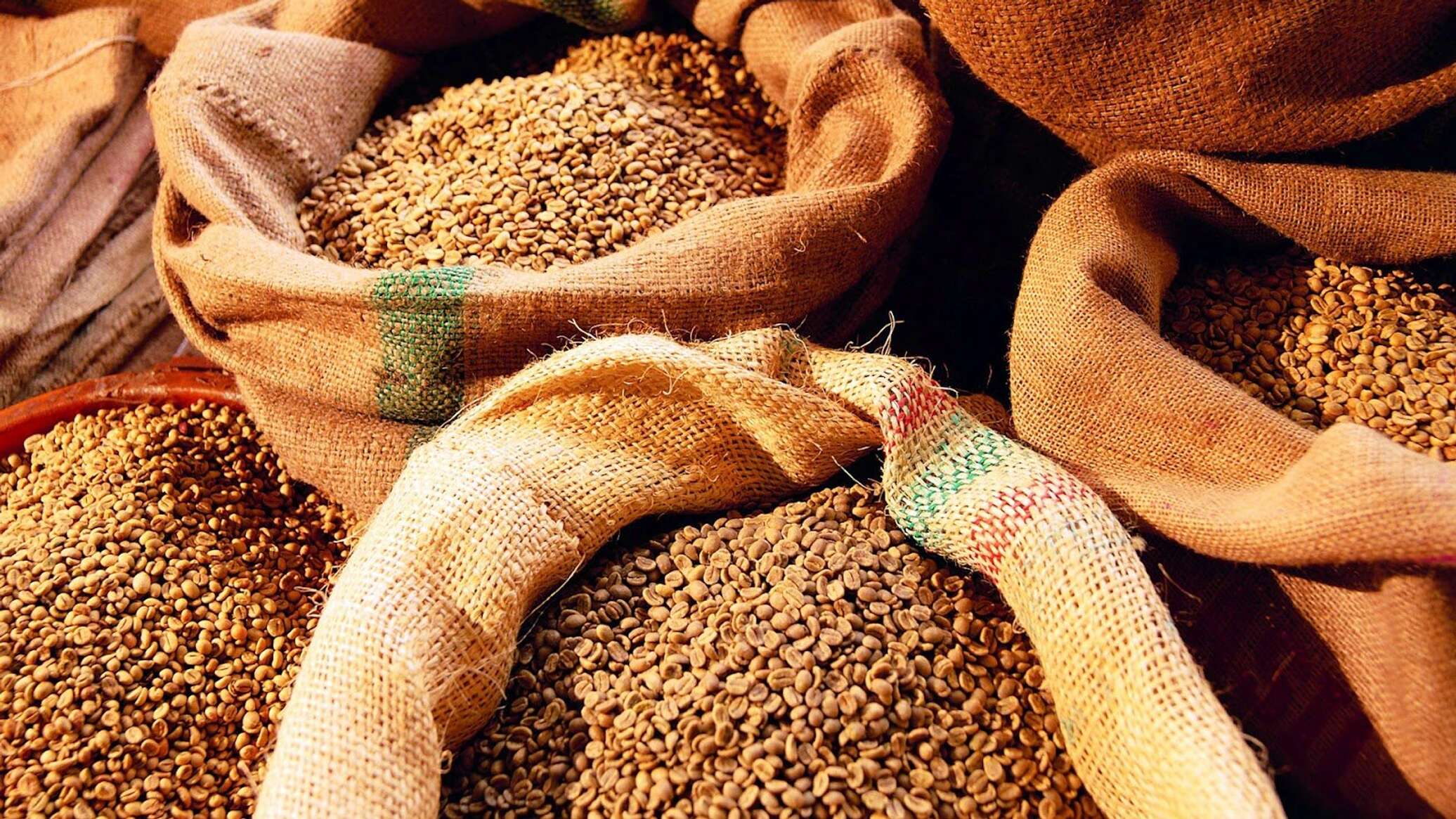 ЄС планує компенсувати витрати на доставку зерна з України