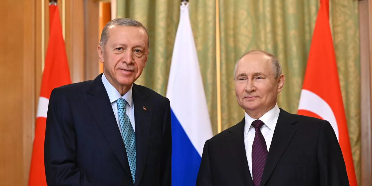 Дружня зустріч Путіна та Ердогана викликає подив