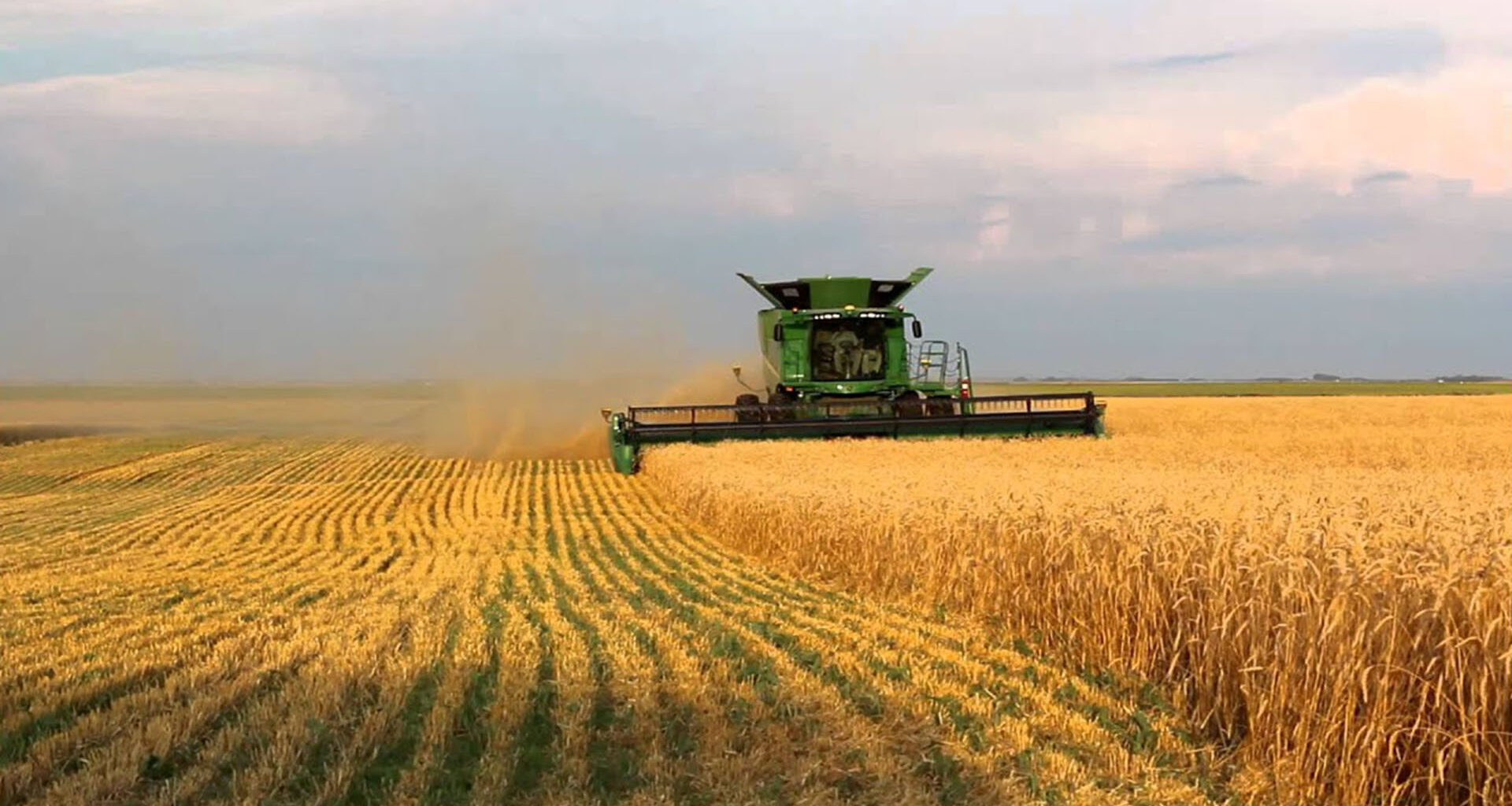 ЄС закликає Польщу, Угорщину та Словаччину до конструктивності щодо українського зерна