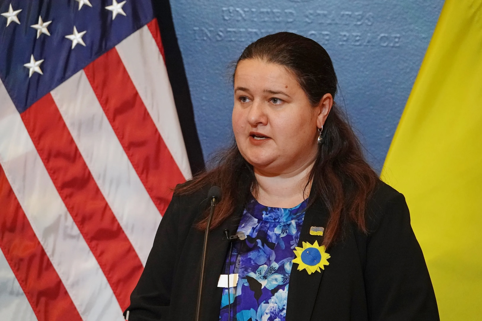 Посол США сподівається на «сміливі рішення» щодо ЗРК Patriot для України