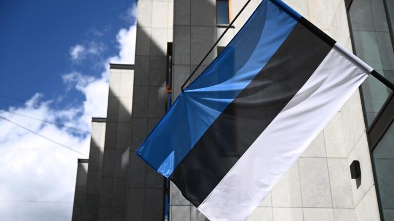 Естонія підтримує ідею війни в Україні до перемоги – Freeдom