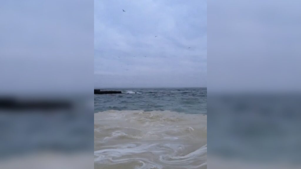 Джерело: Telegram-канали