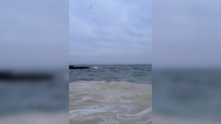 Джерело: Telegram-канали