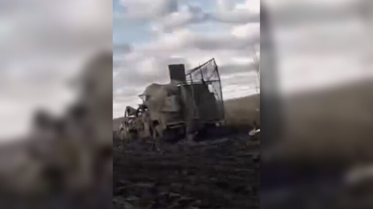 Джерело: Telegram-канали