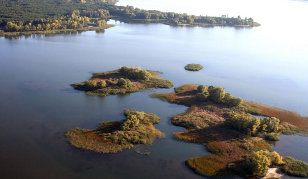 Джерело: ukr.net