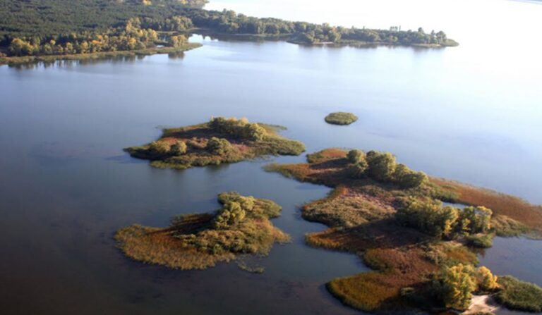 Джерело: ukr.net