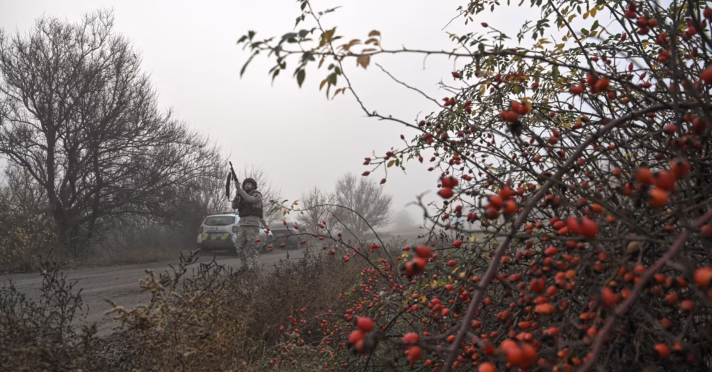 Джерело: radiosvoboda.org