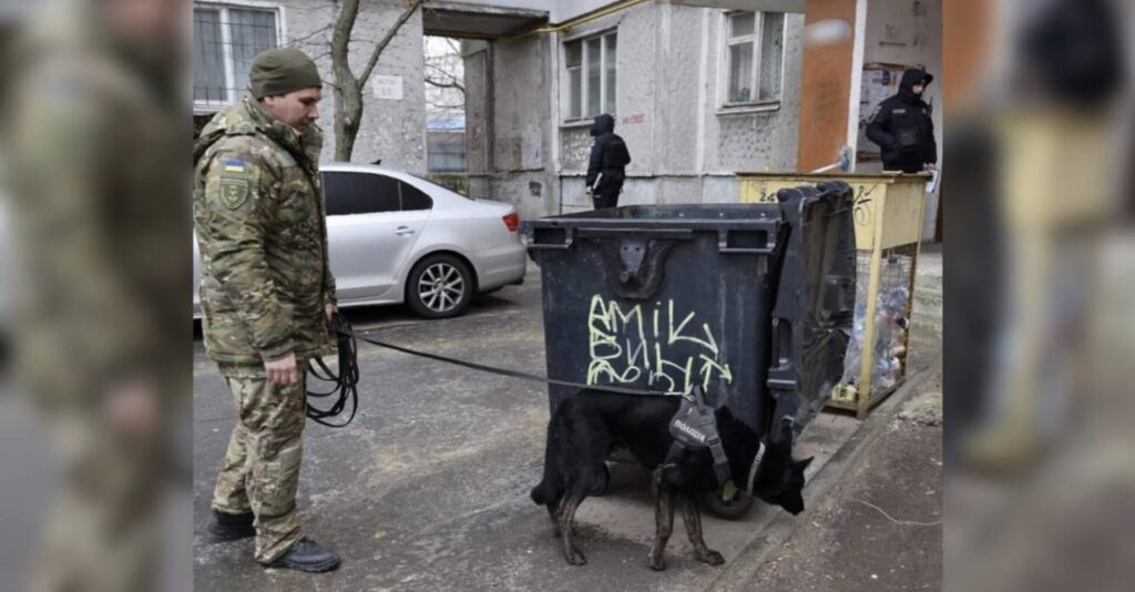 Джерело: t.me/MykolaivNationalPolice