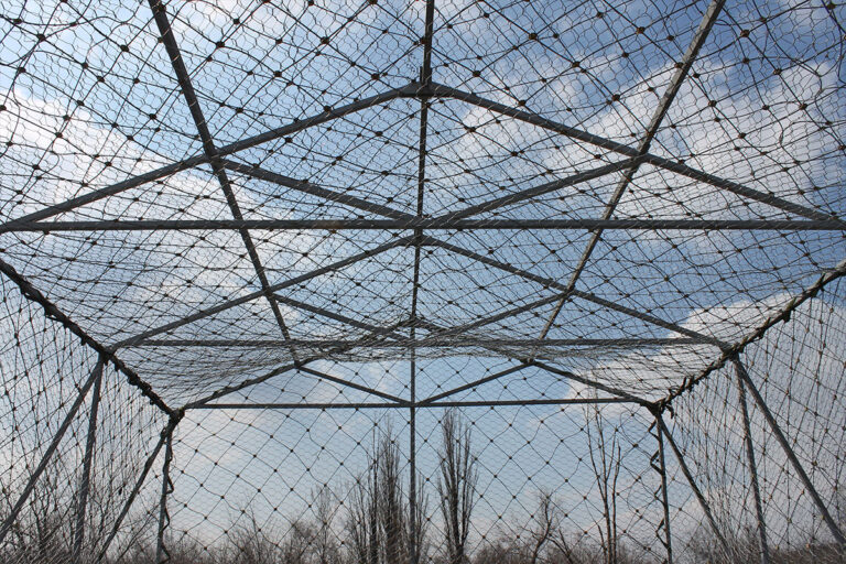 Джерело: grivna.ua