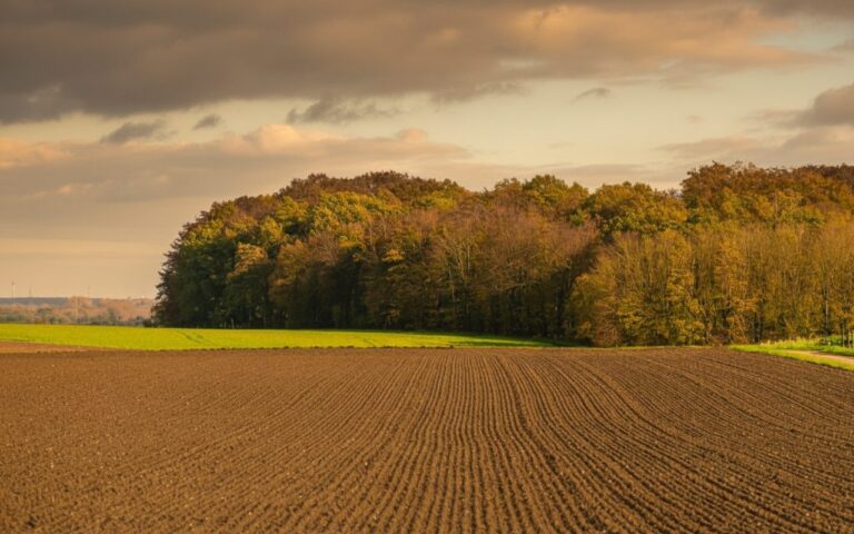 Джерело: inkorr.com