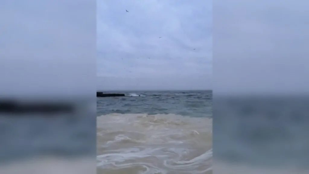 Джерело: Telegram-канали